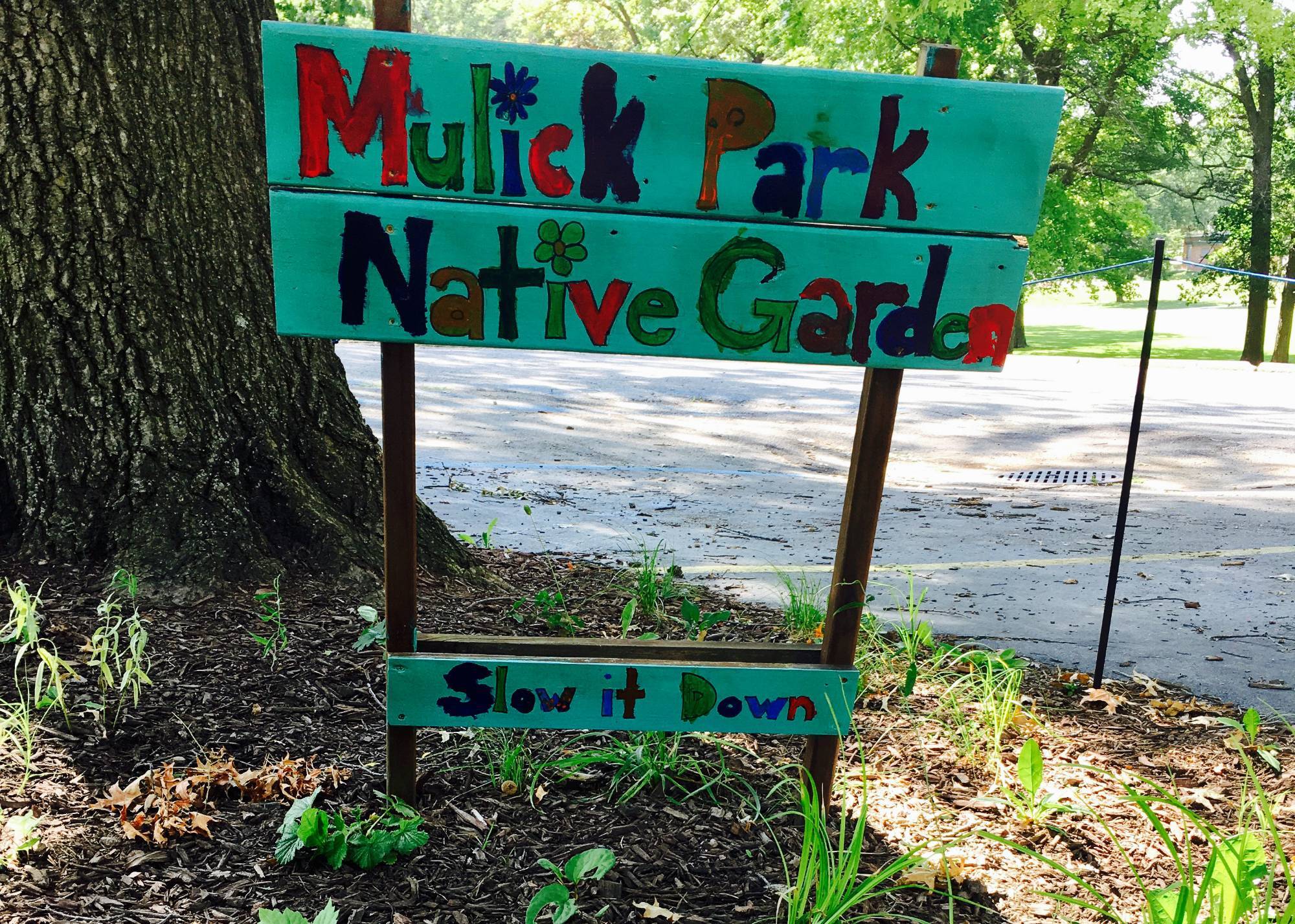 Mulick Park Elementary